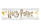 Harry Potter Logo