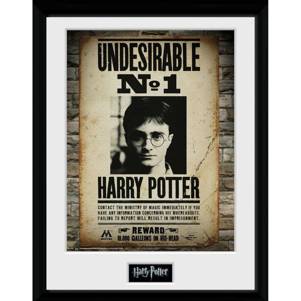 Harry Potter - Undesirable No 1 Framed Print 30 x 40 [2017]