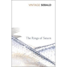 The Rings of Saturn