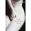 Lady Chatterley's Lover 1