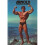 Arnold: the Education of a Bodybuilder 1