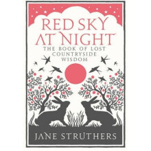 Red Sky at Night