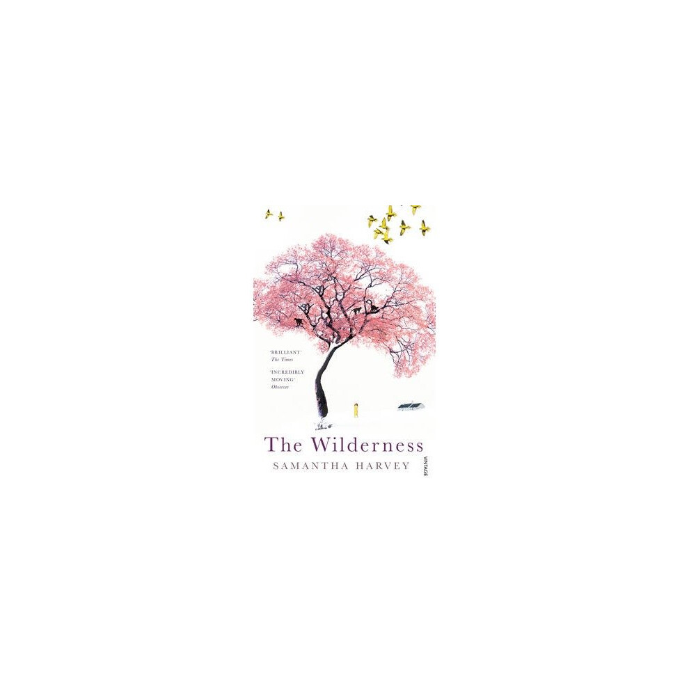 The Wilderness
