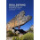 Bouldering Essentials 1