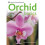 Orchid Basics 1
