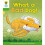 Oxford Reading Tree: Level 2: Stories: What a Bad Dog! 1
