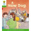 Oxford Reading Tree: Level 2: Stories: a New Dog 1