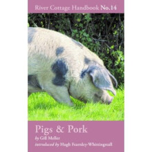 Pigs & Pork