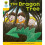 Oxford Reading Tree: Level 5: Stories: the Dragon Tree 1