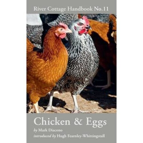 Chicken & Eggs