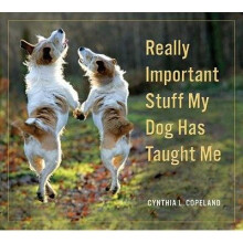 Really Important Stuff My Dog Has Taught Me