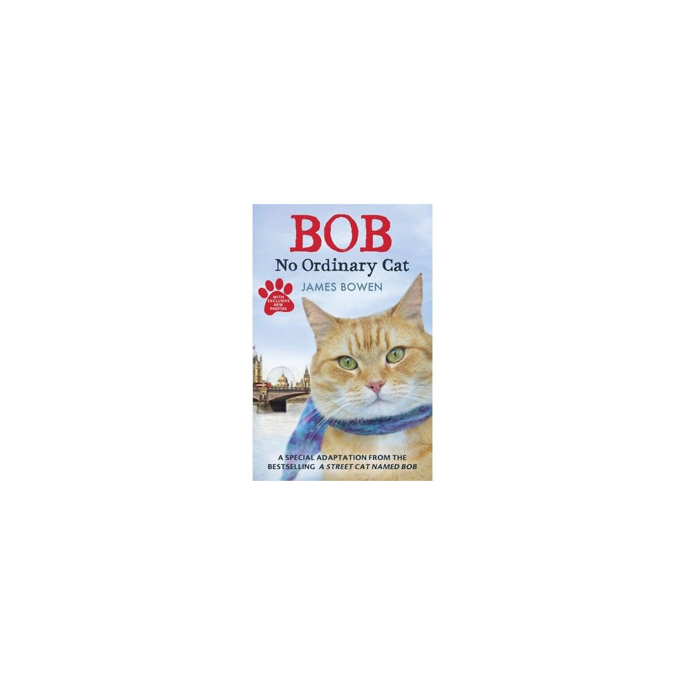 Bob