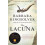 The Lacuna 1