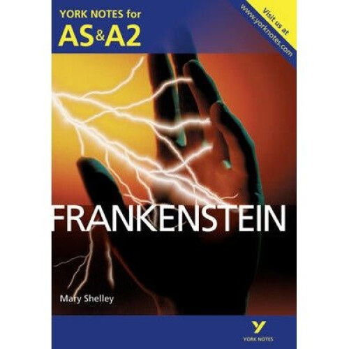 Frankenstein: York Notes for As & A2
