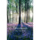 Woodlands 1