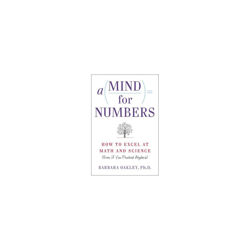 A Mind for Numbers