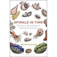 Spirals in Time