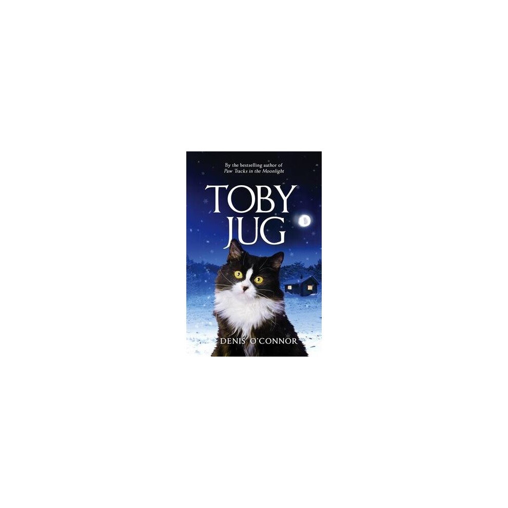 Toby Jug
