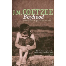 Boyhood