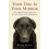 Your Dog is Your Mirror 1