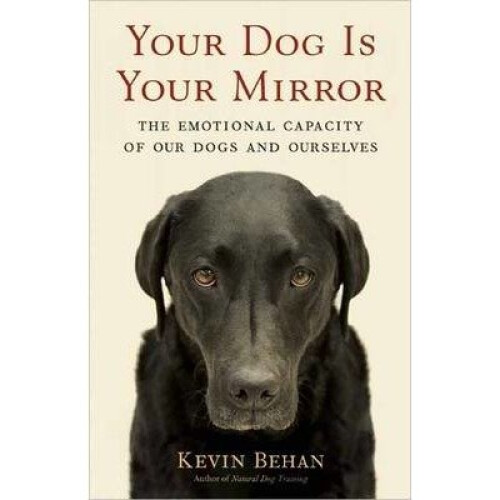 Your Dog is Your Mirror