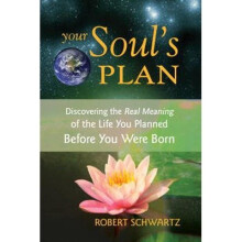 Your Soul's Plan