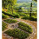 Mediterranean Landscape Design 1