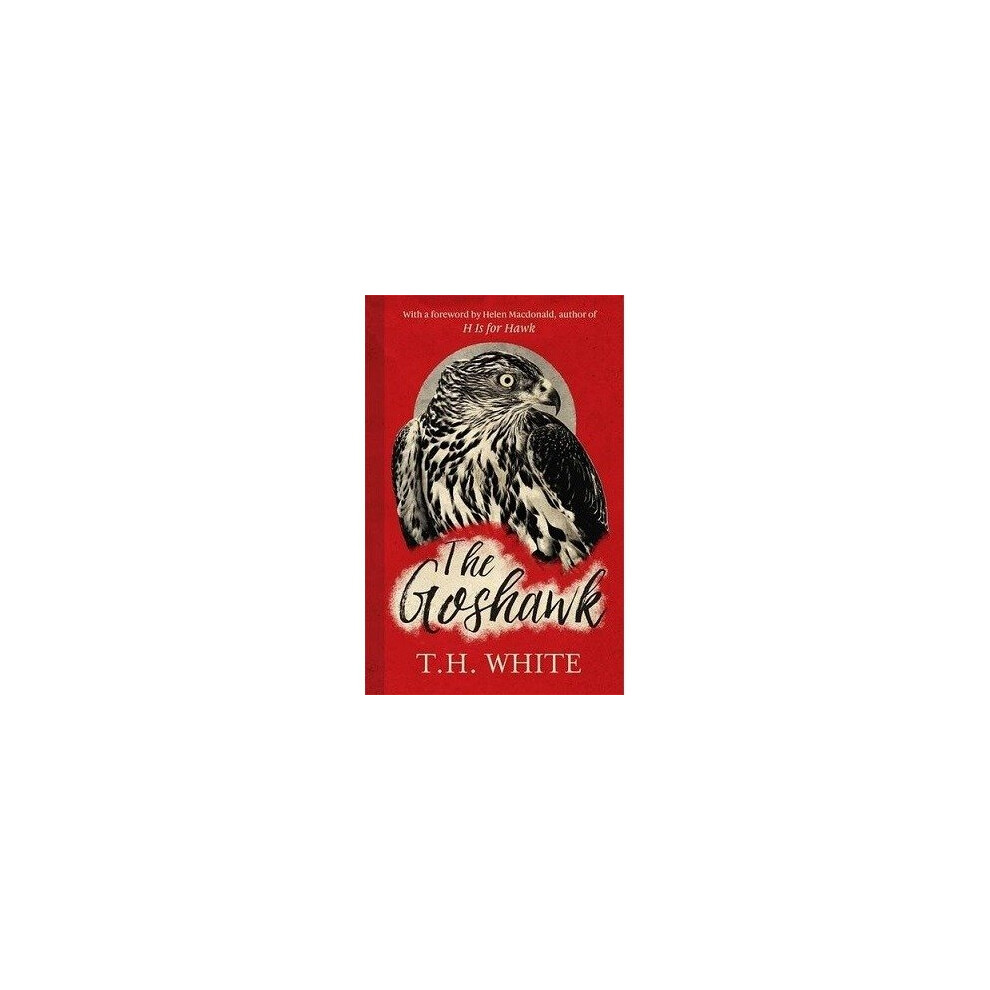 The Goshawk