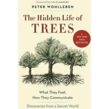 The Hidden Life of Trees
