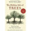 The Hidden Life of Trees 1