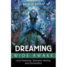Dreaming Wide Awake