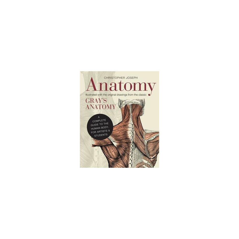 Anatomy