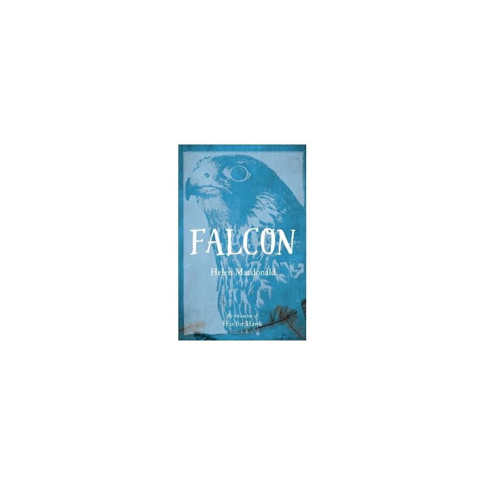 Falcon