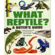 What Reptile? a Buyer's Guide