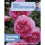 Alan Titchmarsh How to Garden: Growing Roses 1