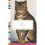 Cat Stories 1