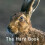 The Hare Book 1