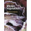 How to Grow Winter Vegetables 1