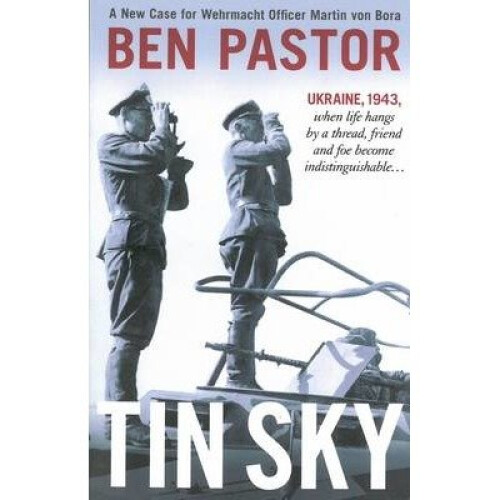 Tin Sky