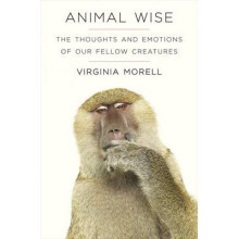 Animal Wise