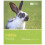 Rabbits - Pet Friendly 1
