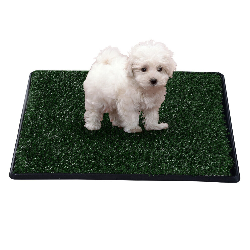 Pawhut Dog Toilet Training Mat | Indoor Dog Toilet
