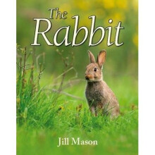 The Rabbit