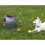 PetSafe PetSafe Automatic Ball Launcher | Auto Dog Ball Throwing Device 4