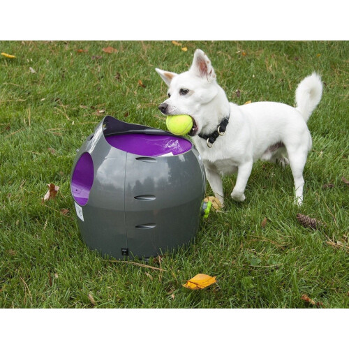 PetSafe PetSafe Automatic Ball Launcher | Auto Dog Ball Throwing Device 1
