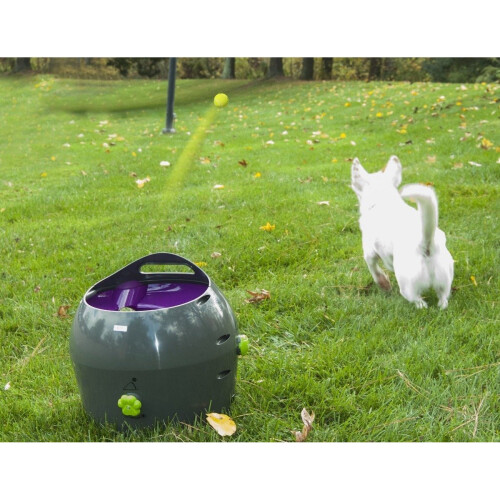 PetSafe PetSafe Automatic Ball Launcher | Auto Dog Ball Throwing Device 2