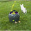 PetSafe PetSafe Automatic Ball Launcher | Auto Dog Ball Throwing Device 5