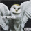 Deftones - Diamond Eyes [CD] 1