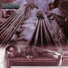 Steely Dan - the Royal Scam [CD]