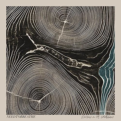 Needtobreathe - Rivers in the Wasteland [CD]